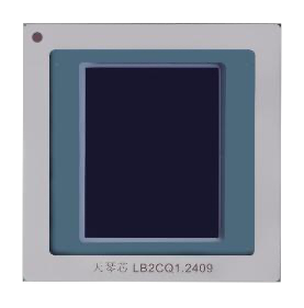 LYRA-β Max BIM204 Brain-Inspired Chip